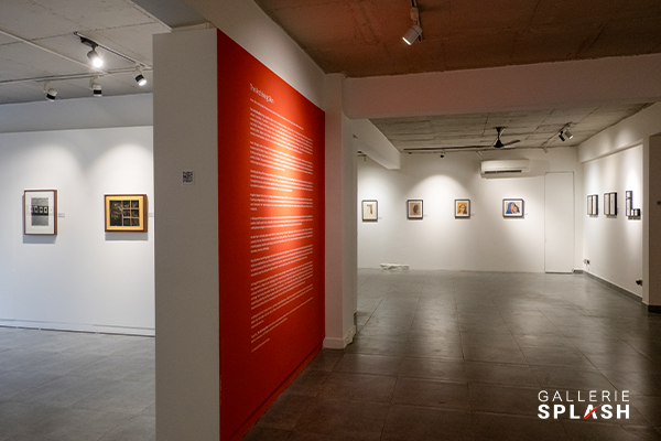 Gallerie Splash