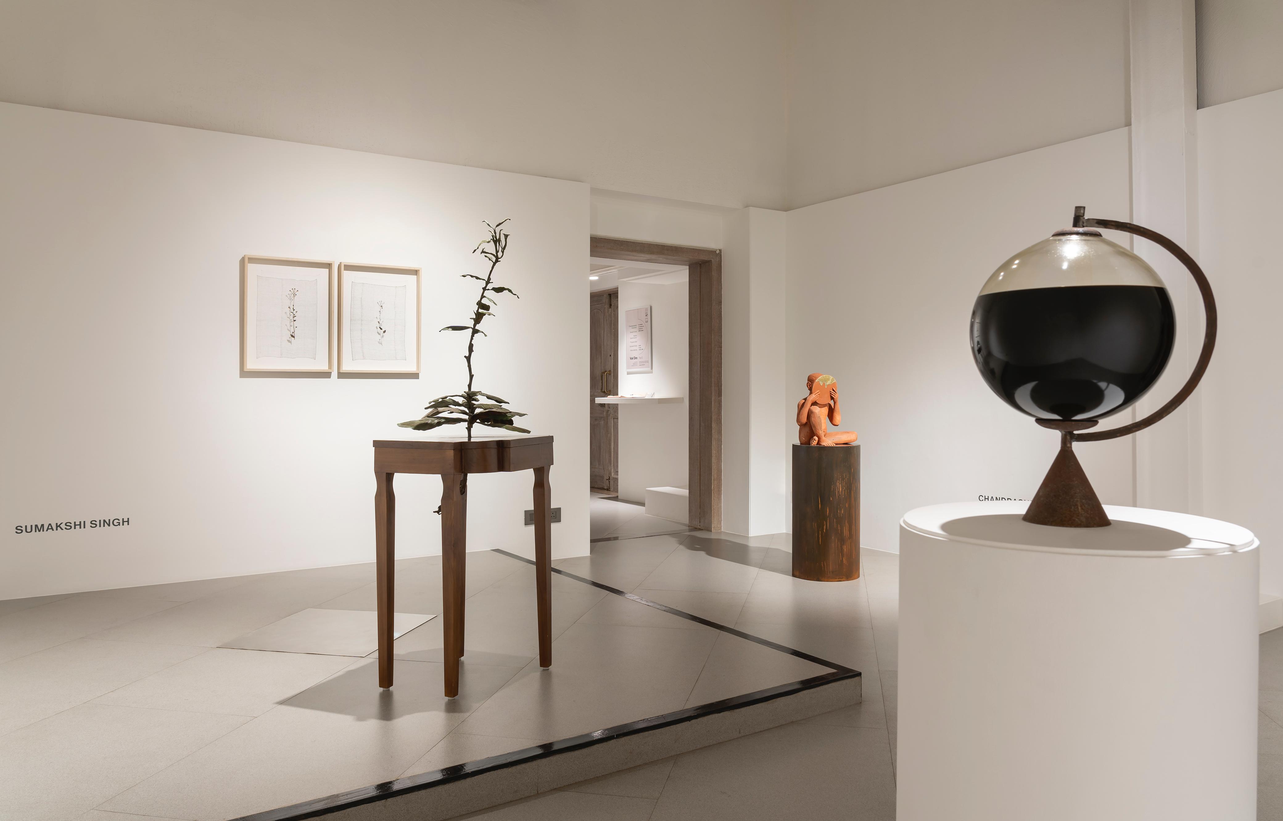 Anupa Mehta Contemporary Art